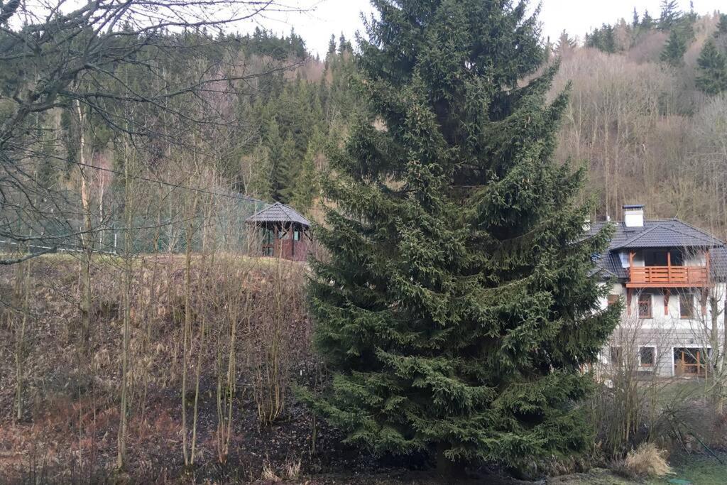 Villa Vykmanov Medenec Екстериор снимка